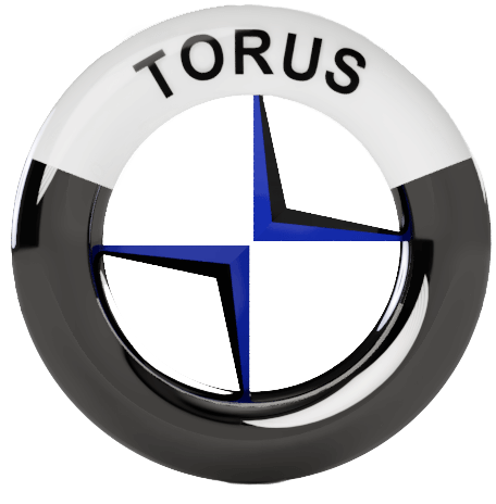 Torus Robotics Private Limited